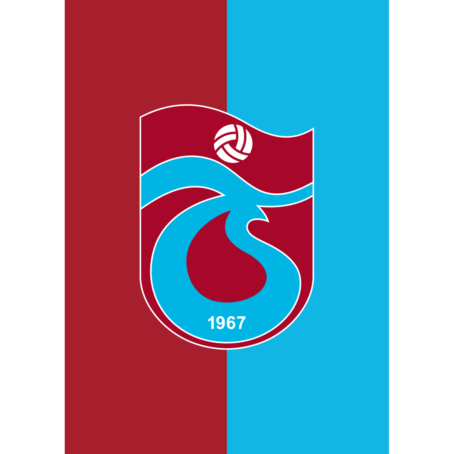 Trabzonspor Bayrağı